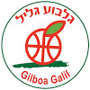 Hapoel Gilboa Galil