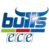 Kapfenberg Bulls
