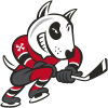 Niagara IceDogs