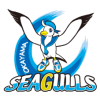 Okayama Seagulls