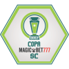 Brazil. Santa Catarina Cup