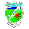 Pontardawe Town