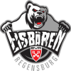 Eisbaren Regensburg