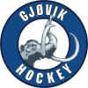 Gjovik
