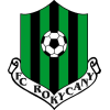 Рокицани