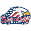 Saginaw Spirit