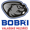 Bobri Valasske Mezirici