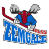 Zemgale